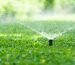 automatic-garden-lawn-sprinkler-in-action-watering-grass
