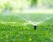 automatic-garden-lawn-sprinkler-in-action-watering-grass